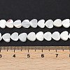 Natural Trochid Shell/Trochus Shell Beads Strands SSHEL-K012-04A-4