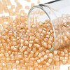 TOHO Round Seed Beads SEED-JPTR08-0391-1