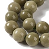 Natural Alashan Agate Beads Strands G-P530-B05-04-4