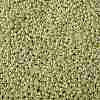 TOHO 8/0 Round Beads X-SEED-TR08-PF0559-2