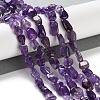 Natural Amethyst Beads Strands G-P497-01C-21-2