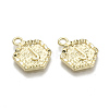 Alloy Pendants PALLOY-N157-003J-NR-2