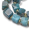 Natural Apatite Beads Strands G-G053-B18-03-4