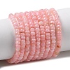 Natural Freshwater Shell Beads Strands SHEL-P017-01B-09-1