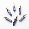 Natural Sodalite Double Terminated Pointed Pendants G-G902-B14-2
