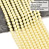 Eco-Friendly Dyed Glass Pearl Round Beads Strands HY-A008-8mm-RB012-2