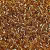 TOHO 6/0 Round Beads SEED-XTR06-0022-4