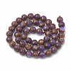 Natural Chalcedony Beads Strands G-S333-10mm-014A-3
