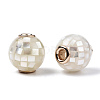 Natural White Shell Beads SSHEL-N034-131J-3