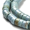 Natural Turquoise Beads Strands X-G-M422-C01-01-4