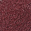 MIYUKI Delica Beads SEED-MY11-DB2119-3