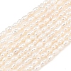 Natural Cultured Freshwater Pearl Beads Strands PEAR-F020-09-2