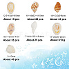 135Pcs 5 Size Natural Conch Shell Beads BSHE-PH0001-14-2