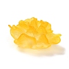 Transparent Resin Cabochons RESI-G027-01C-4