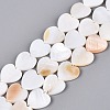 Natural Freshwater Shell Beads Strands SHEL-S276-87-1