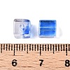 Baking Paint Transparent Glass Beads LS-DGLA-N005-01A-02-4