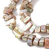 Natural Freshwater Shell Beads Strands BSHE-H018-07A-3