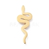 201 Stainless Steel Snake Brooches JEWB-C037-31G-1