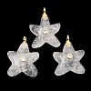 Natural Quartz Crystal Pendants X-G-H353-01G-02-1