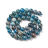 Natural Apatite Beads G-E481-05-8mm-01-3
