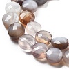 Natural Botswana Agate Beads Strands G-C179-A18-02-4