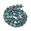 Natural Apatite Beads Strands G-G053-B18-03-3