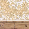 MIYUKI Delica Beads SEED-X0054-DB1131-3