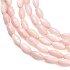 Natural Freshwater Shell Beads Strands SHEL-C010-01F-2