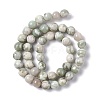 Natural Peace Jade Beads Strands X-G-G905-07-3