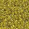 TOHO 8/0 Round Beads X-SEED-TR08-1013-3