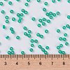MIYUKI Round Rocailles Beads SEED-X0055-RR0572-4