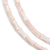 Natural Freshwater Shell Beads Strands SHEL-G013-01L-3