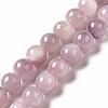 Natural Kunzite Beads Strands G-I346-04-2