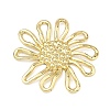 Alloy Pendants AL-E003-05G-2
