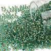 TOHO Round Seed Beads SEED-XTR11-0755-1