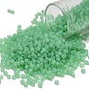 TOHO 8/0 Round Beads X-SEED-TR08-0144F-1