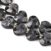 Natural Larvikite Beads Strands G-P592-B05-01-4