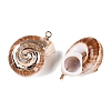 Electroplate Natural Spiral Shell Pendants SSHEL-Q100-34G-2
