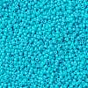 MIYUKI Round Rocailles Beads SEED-G008-RR4480-3