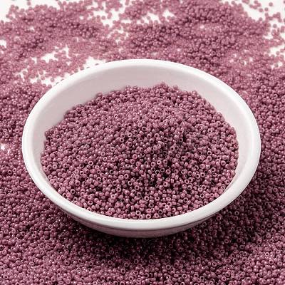 MIYUKI Round Rocailles Beads X-SEED-G009-RR4487-1
