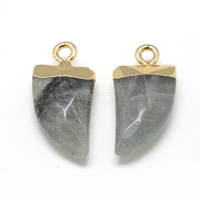 Natural Labradorite Pointed Pendants G-Q966-02-1