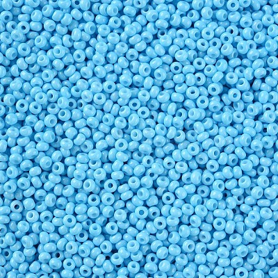 11/0 FGB Grade A Baking Paint Glass Seed Beads X-SEED-N001-A-1019-1