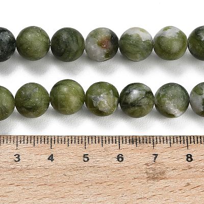 Natural Chinese Jade Southern Jade Beads Strands G-P626-10mm-01B-1