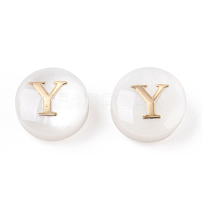 Natural Freshwater Shell Beads SHEL-N036-01Y-1
