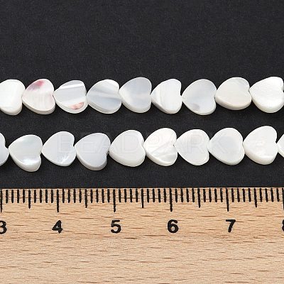 Natural Trochid Shell/Trochus Shell Beads Strands SSHEL-K012-04A-1