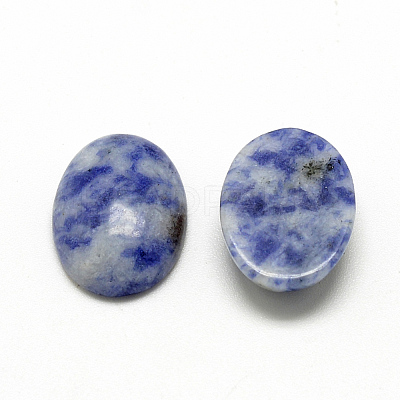 Natural Blue Spot Jasper Cabochons G-R415-13x18-45-1