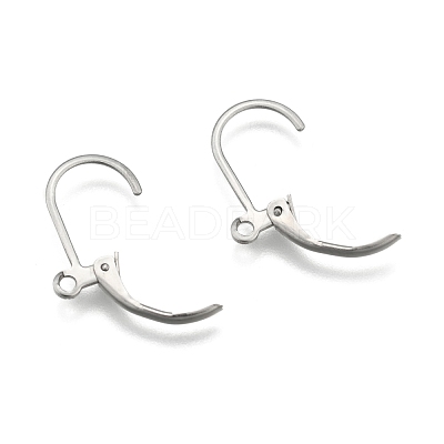 Tarnish Resistant Stainless Steel Color Tone 304 Stainless Steel Leverback Earring Findings X-STAS-E007-3-1