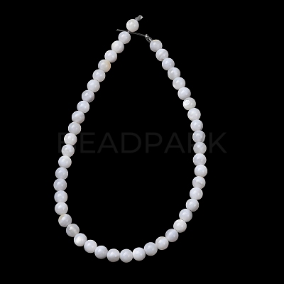 Natural Freshwater Shell Beads Strands SH-CBA2978-07D-03-1