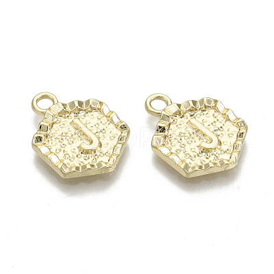 Alloy Pendants PALLOY-N157-003J-NR-1
