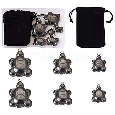 6Pcs 3 Styles Non-magnetic Hematite Pendants G-TA0001-43-1